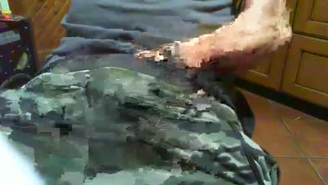 ciop1962 online show from 2, 12, 2024