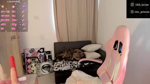 Paulina online show from 6, 11, 2025