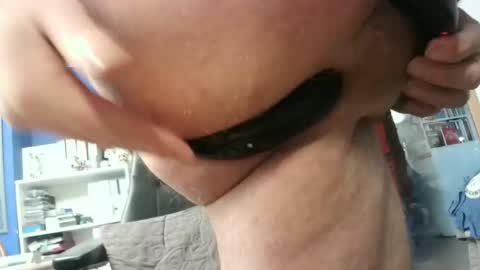 Circus Bear online show from 29, 1, 2025