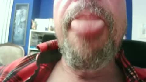 Circus Bear online show from 20, 2, 2026