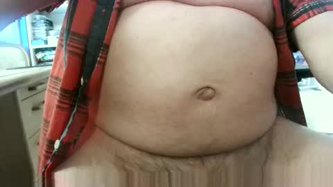 Circus Bear online show from 23, 4, 2026