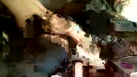 dan online show from 5, 3, 2025