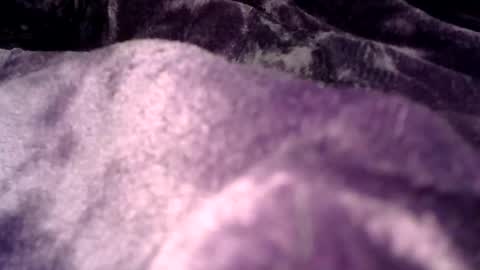 Snapshot of clamslamm11 chatting on 25, 10, 2025 clamslamm11 online show from 25, 10, 2025