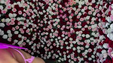 Snapshot of clara_tenssio chatting on 23, 12, 2024 Clara online show from 23, 12, 2024