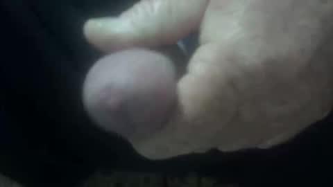 cocktoys online show from 1, 2, 2026