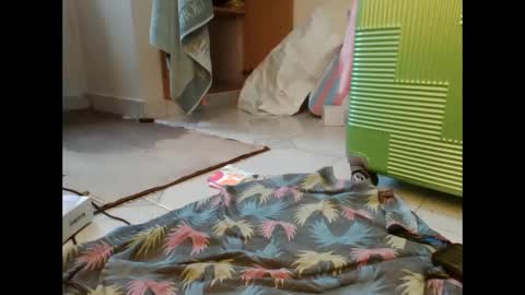 coco vixen9 online show from 29, 11, 2025