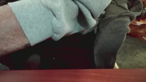 Snapshot of cody81421 chatting on 15, 1, 2025 cody81421 online show from 15, 1, 2025