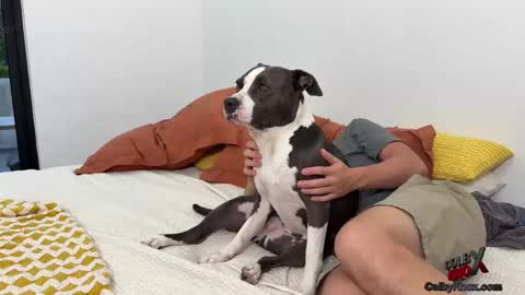 colbyknox online show from 4, 11, 2025