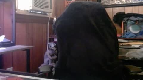 Nelson or ComicKing and sometime Peachy143 online show from 8, 3, 2026