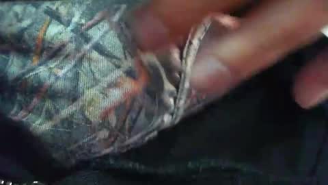 comox online show from 4, 11, 2025