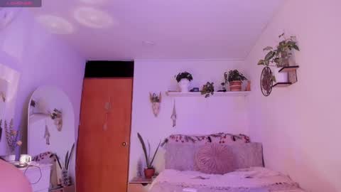 connie    online show from 4, 1, 2025