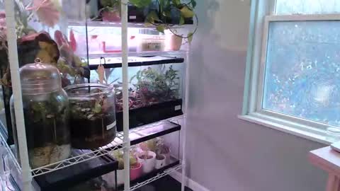 Snapshot of constantcumquest chatting on 9, 11, 2025 ANR Mommy online show from 9, 11, 2025