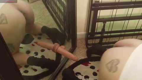 controllercutie online show from 20, 3, 2026