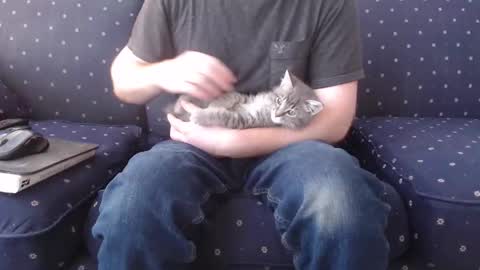 Snapshot of copper_crotch chatting on 3, 12, 2025 copper_crotch online show from 3, 12, 2025