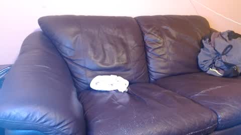 Tony online show from 1, 3, 2025