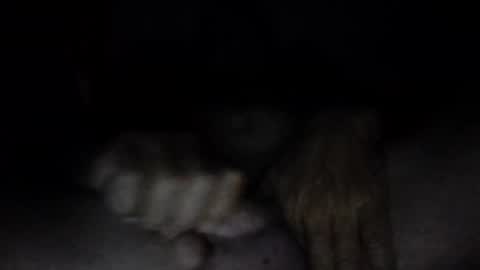Snapshot of couqi_xxx10 chatting on 2, 6, 2026 online show from 2, 6, 2026