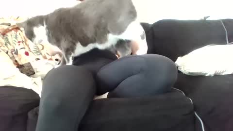 courtxoxo_o online show from 20, 2, 2025