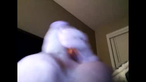 Snapshot of cranada777 chatting on 24, 2, 2025 Cranada777 online show from 24, 2, 2025