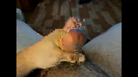 Crazycock online show from 23, 3, 2026