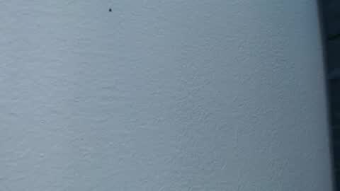 Hanna  online show from 15, 2, 2025