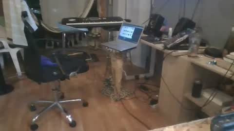 Snapshot of cristalcristo chatting on 11, 5, 2026 cristalcristo online show from 11, 5, 2026