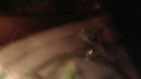 cryan96 online show from 2, 2, 2025