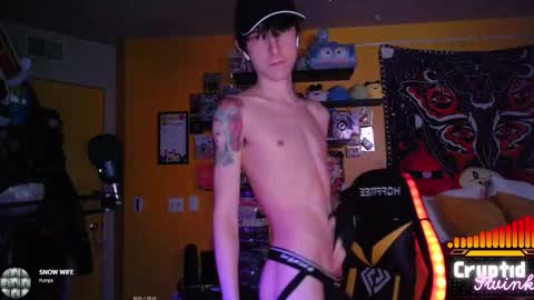 Snapshot of cryptidtwink chatting on 19, 2, 2026 CryptidTwink online show from 19, 2, 2026