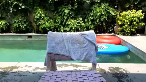 Lin inst lingoodyy online show from 25, 2, 2025