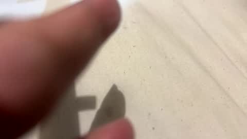 im KIM new girl to spoil online show from 21, 10, 2025