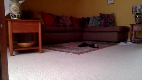 Snapshot of cumonherguys chatting on 6, 11, 2025 cumonherguys online show from 6, 11, 2025