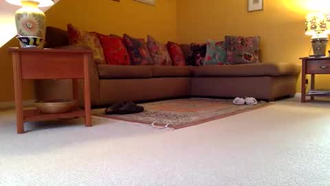 Snapshot of cumonherguys chatting on 7, 11, 2025 cumonherguys online show from 7, 11, 2025