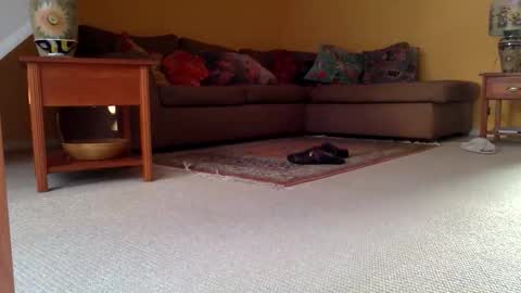 Snapshot of cumonherguys chatting on 17, 11, 2025 cumonherguys online show from 17, 11, 2025