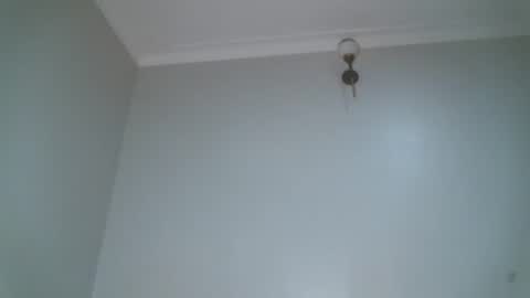 Shiiro online show from 11, 4, 2026