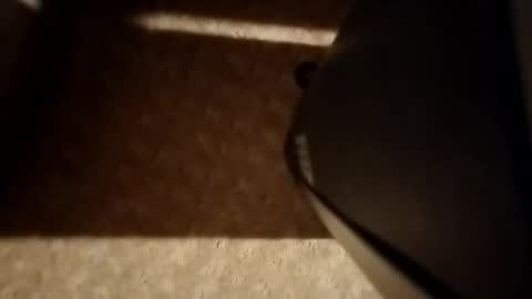 cumwith_me80 online show from 8, 4, 2026