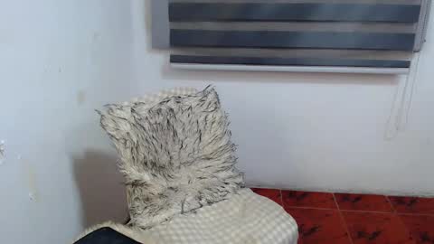 Xyrien online show from 10, 1, 2026