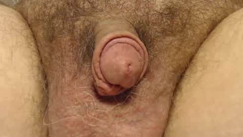 curve66 online show from 6, 2, 2025