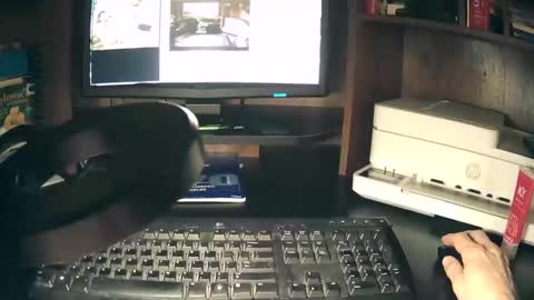 curvelovetool online show from 20, 4, 2026