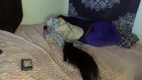 Cline  online show from 8, 2, 2025