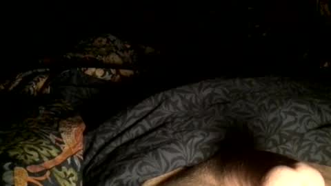 Snapshot of cutcockguy1975 chatting on 21, 12, 2024 Steve online show from 21, 12, 2024