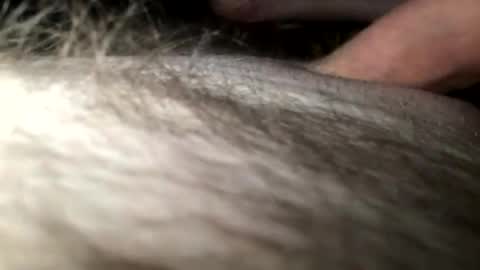 Snapshot of cutcockguy1975 chatting on 28, 1, 2025 Steve online show from 28, 1, 2025