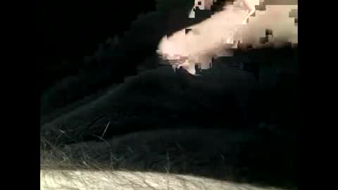 Snapshot of cutcockguy1975 chatting on 11, 2, 2025 Steve online show from 11, 2, 2025