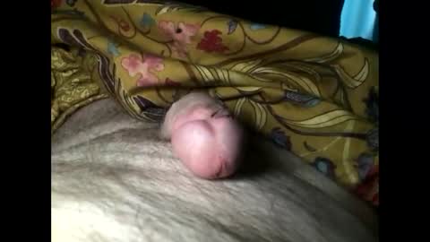 Snapshot of cutcockguy1975 chatting on 3, 3, 2025 Steve online show from 3, 3, 2025