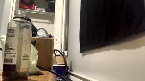 cutealisandra online show from 3, 2, 2026