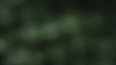 Snapshot of cuteeboy chatting on 18, 10, 2025 cuteeboy online show from 18, 10, 2025