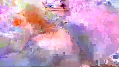 dafo1980 online show from 20, 4, 2026