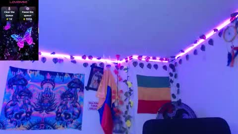 Dakko online show from 10, 1, 2026