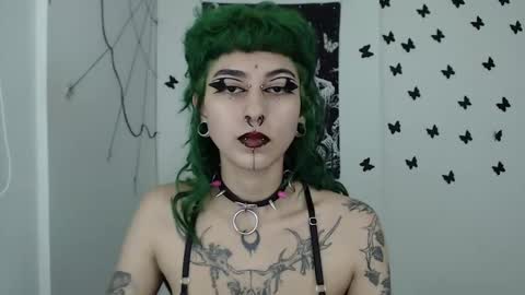 dakota online show from 11, 12, 2024