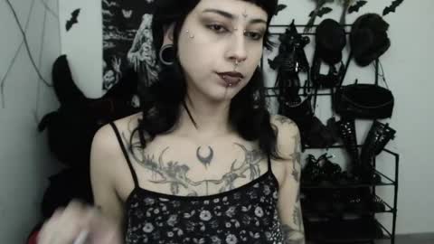 dakota online show from 15, 5, 2026