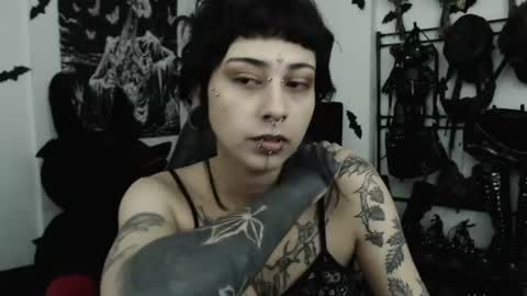 dakota online show from 20, 6, 2026