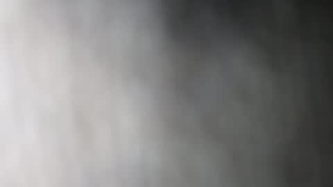 Dalia April online show from 11, 1, 2026